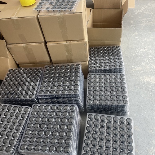 Bulk Order Capacity: Tactile Indicators Packed and Ready for Export
